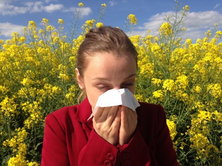 Az Alföldön és Dél-Dunántúlon a legrosszabb most az allergiásoknak